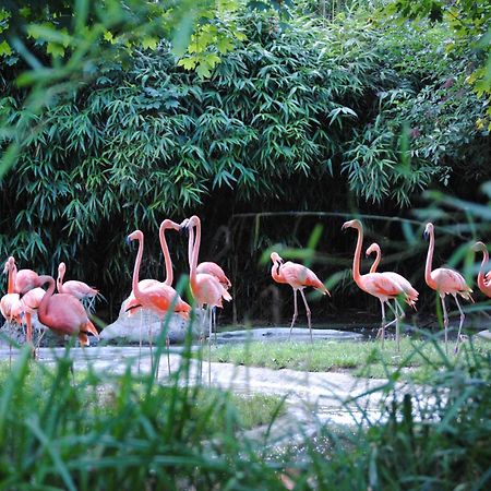 Close To Schoenbrunn Apartments - Contactless 24H Check-In Вена Экстерьер фото